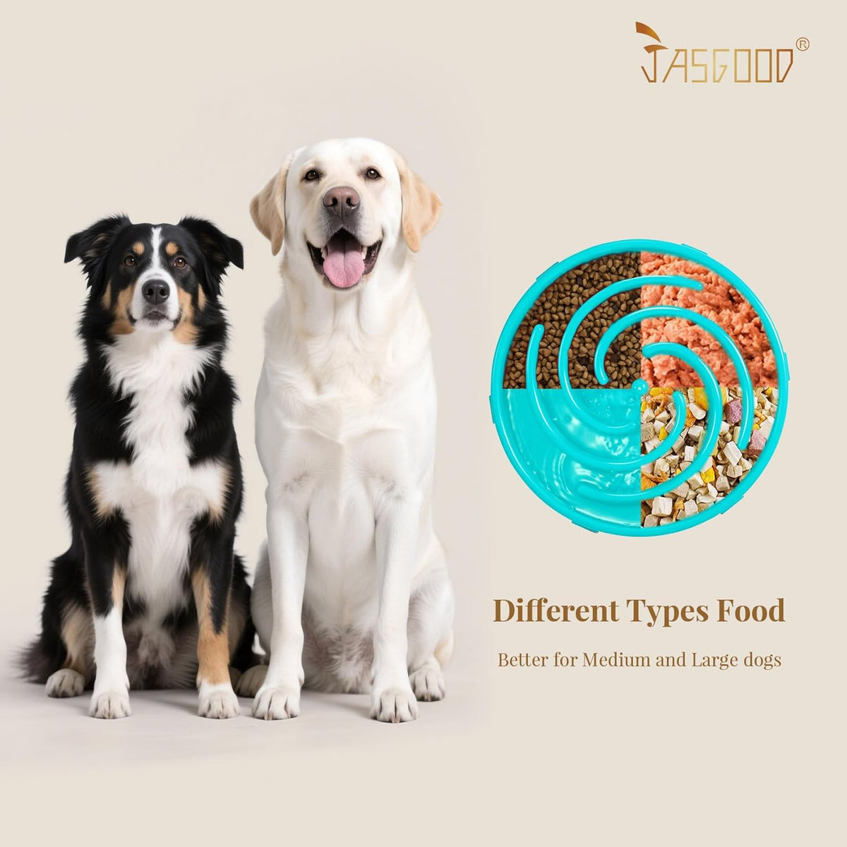 Slow Feeder Bowl for Large and Medium Dogs, Anti-Gulping Design to Prevent Bloat and Choking