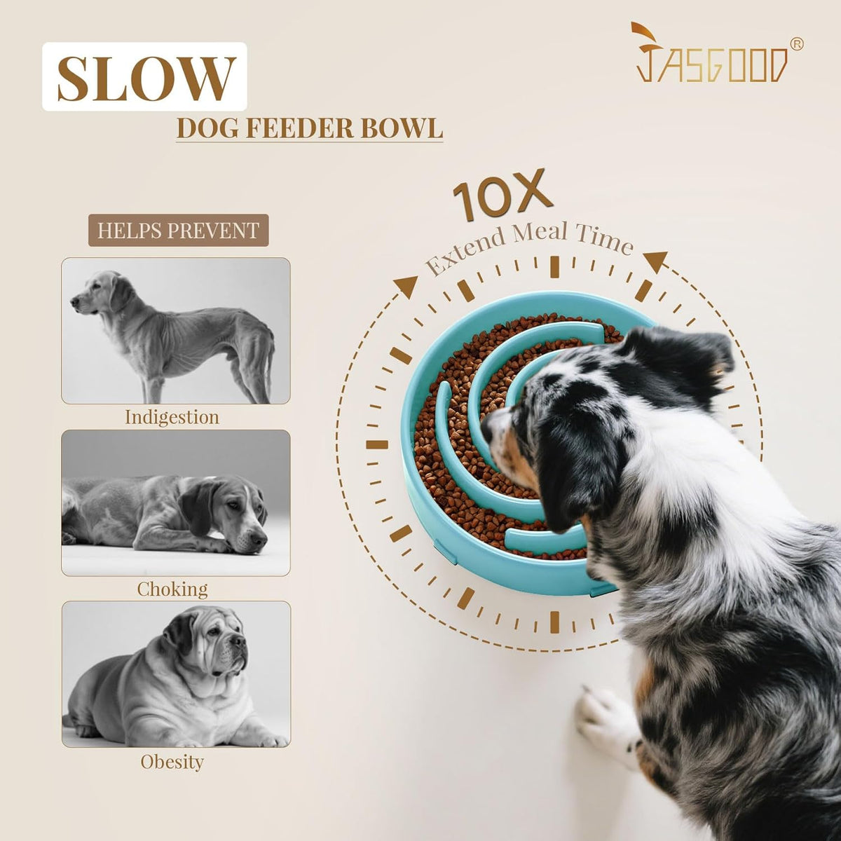 Slow Feeder Bowl for Large and Medium Dogs, Anti-Gulping Design to Prevent Bloat and Choking
